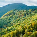 Fall Color on Rough Butt Bald