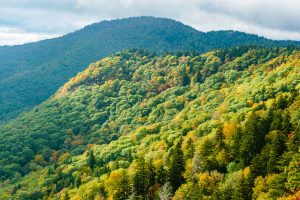 Fall Color on Rough Butt Bald