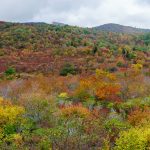 Graveyard Fields in Early Fall