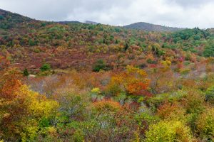 Graveyard Fields in Early Fall