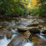 Fall Color on Bubbling Spring Branch