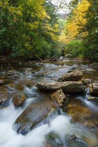 Fall Color on Bubbling Spring Branch