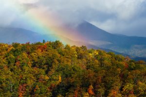 Rainbow over Fall Color