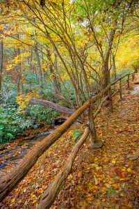 Cascades Trail Fence