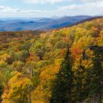 Stack Rock Bridge Fall Color