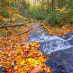 Cascades Below Grassy Creek Falls