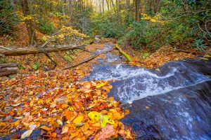 Cascades Below Grassy Creek Falls