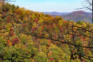 View from Mackey Mountain