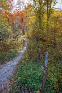 Start of the Davidson River Trail