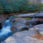 Whale Back Falls on the Davidson River