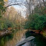 Whale Back Swimming Hole