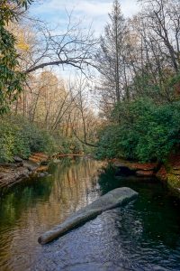 Whale Back Swimming Hole