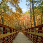 Bridge Over Catawba River