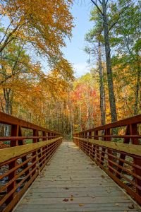 Bridge Over Catawba River