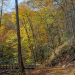 Fall Color at the Chestnut Branch Bridge