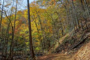 Fall Color at the Chestnut Branch Bridge