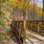 Chestnut Branch Bridge in Fall Color