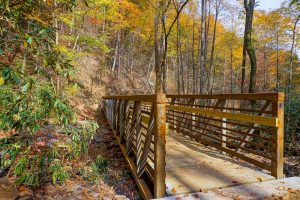 Chestnut Branch Bridge in Fall Color