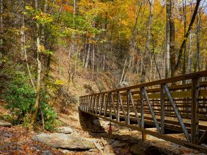 Chestnut Branch Bridge in Fall Color