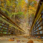 Chestnut Branch Bridge in Fall Color