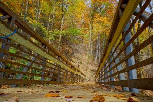 Chestnut Branch Bridge in Fall Color