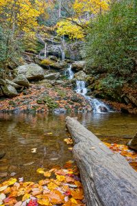 Lower Catawba Falls in Fall Color