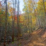 Fall Color on the Catawba Falls Trail