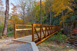 Catawba Falls Trail Bridge