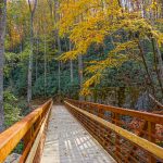 Catawba Falls Trail Bridge