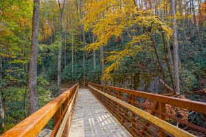 Catawba Falls Trail Bridge