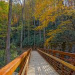 Catawba Falls Trail Bridge