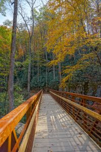 Catawba Falls Trail Bridge