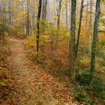 Looking Glass Rock trail in Cove