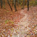 Looking Glass Rock Trail