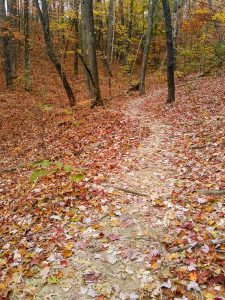 Looking Glass Rock Trail