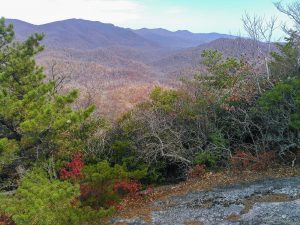 View from Looking Glass Rock