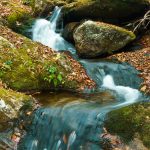 Small Cascade on the Left Prong South Toe River