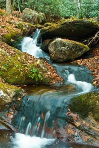 Small Cascade on the Left Prong South Toe River