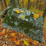 Boulder and Fall Color on Bald Knob Ridge