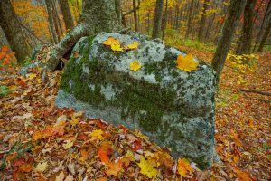 Boulder and Fall Color on Bald Knob Ridge