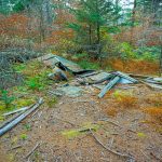 Old Cabin on Bald Knob Ridge