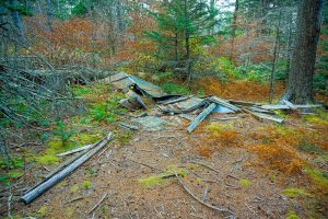 Old Cabin on Bald Knob Ridge