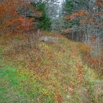 Bald Knob Ridge Trail Start