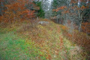 Bald Knob Ridge Trail Start