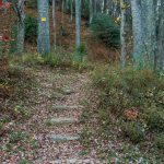 Steps at the Start of the Bald Knob Ridge Trail