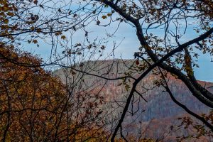 View of Green Knob from the Bald Knob Ridge Trail