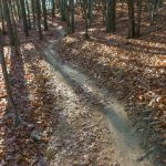 Hickory Mountain Loop Trail Curves