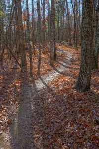 Hickory Mountain Loop