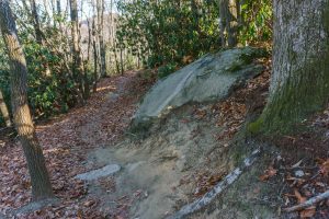 North Side of Hickory Mountain