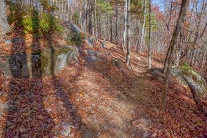 Rock Features on Hickory Mountain Loop